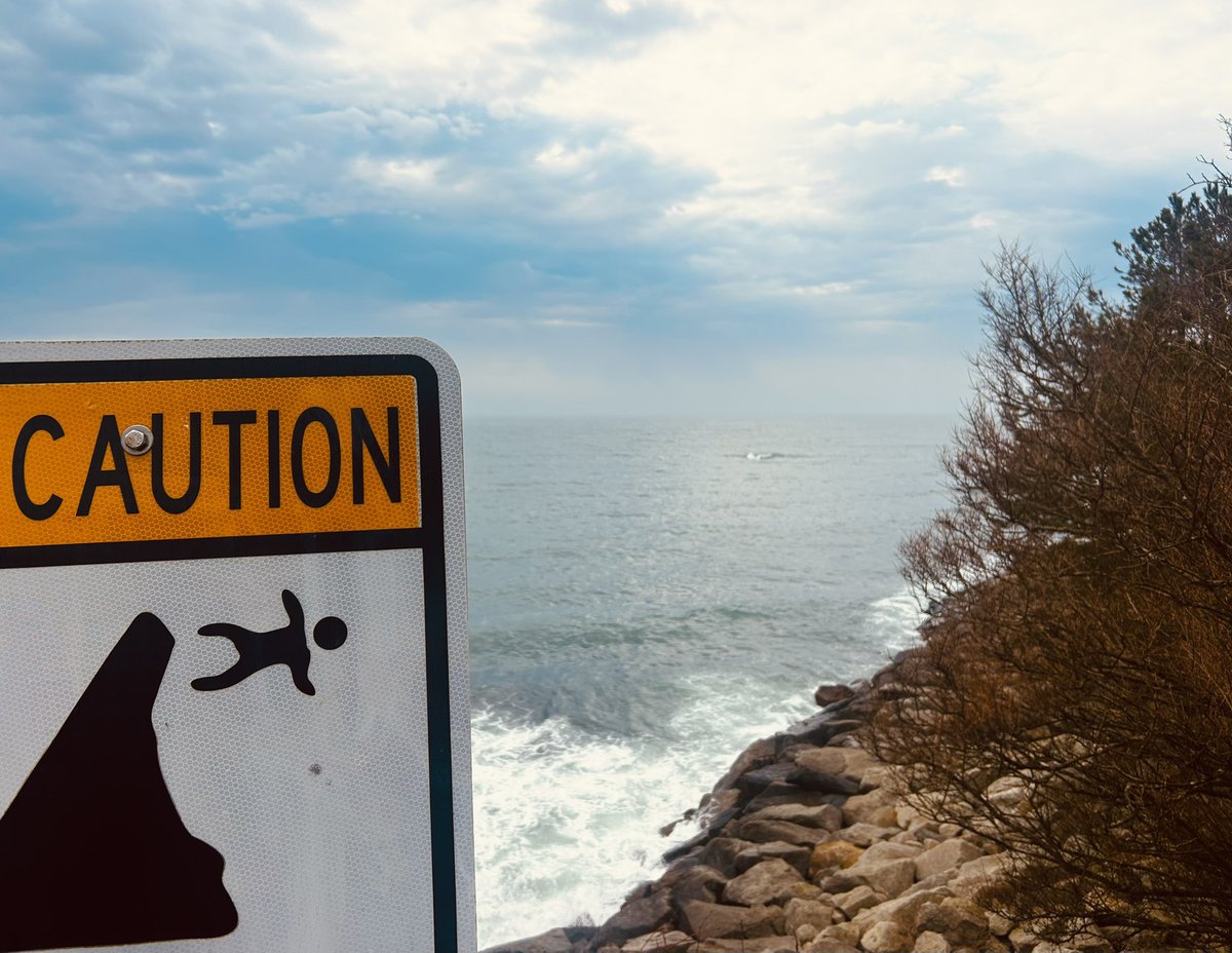 kristin hersh tweet media