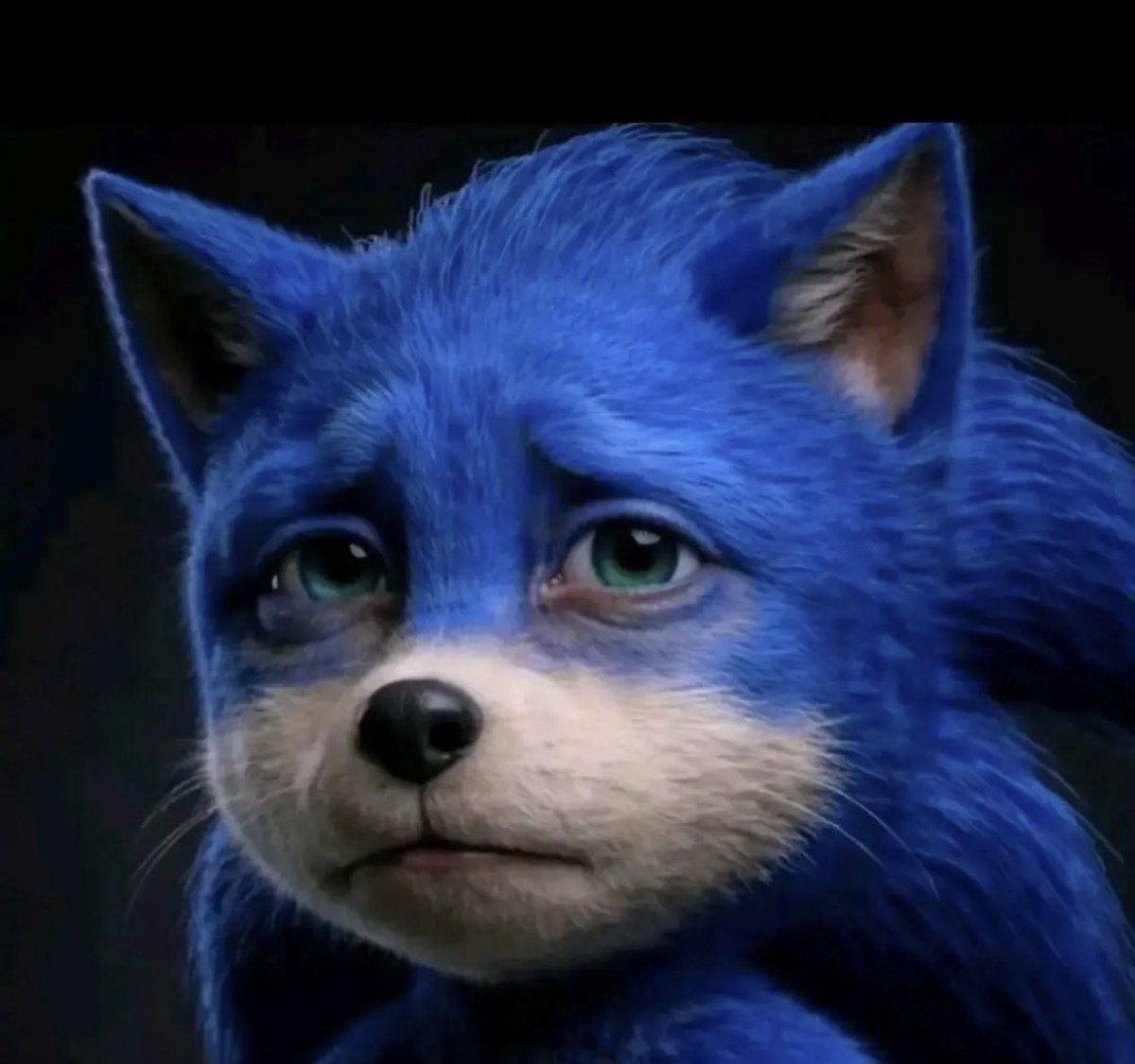 Dyan’s MEMORIES 🇵🇷 tweet media