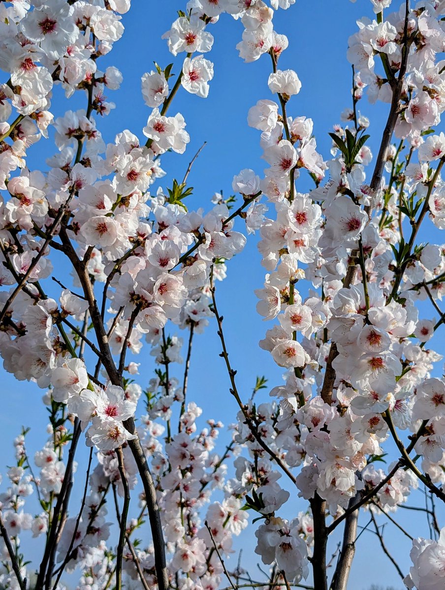 Thomas Dietsch tweet media