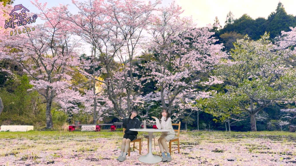 春咲暖と陽高真白の「おうちとれーにんぐっ!」 tweet media