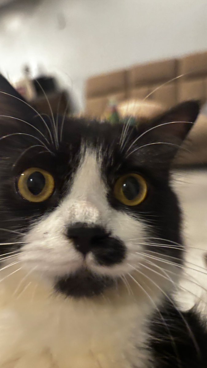 d¡fuy ⭐️ tweet media