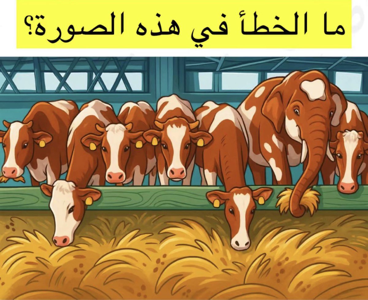 هونتشر | ثريد tweet media