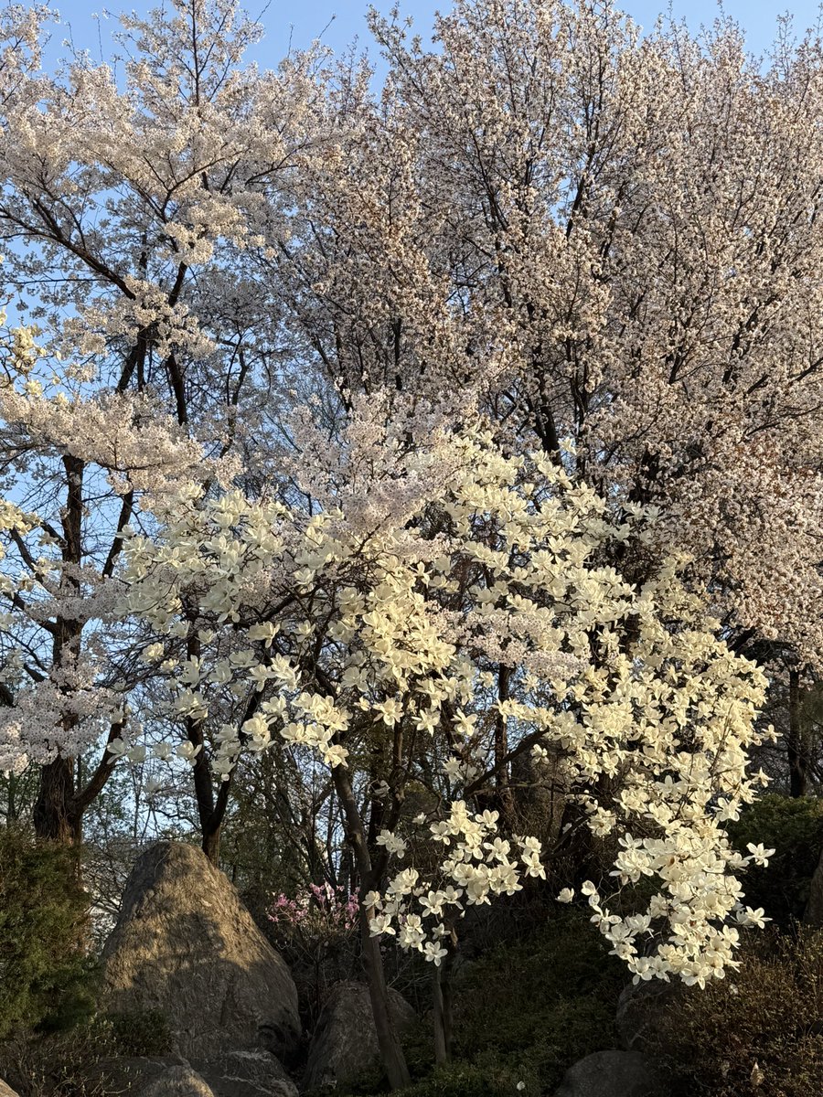 잠식 tweet media
