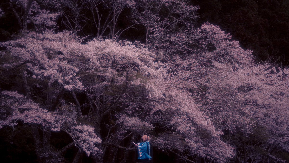 📸ば。 tweet media