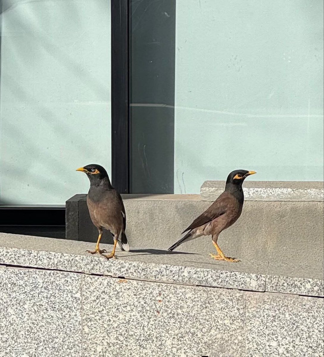 قهوة وليل ☕️🌃 tweet media