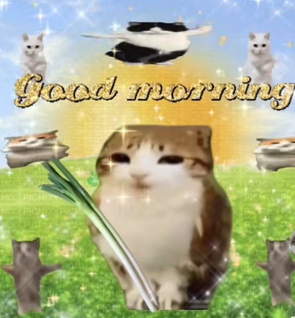 Vari | Mami of shedtwt tweet media