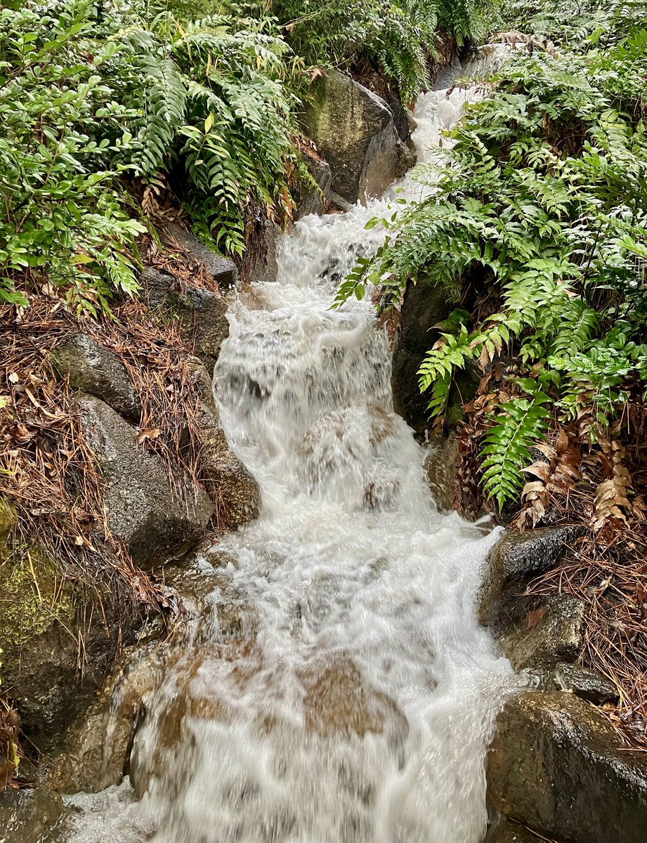 9əuo𐍁d!（あいふぉん9） tweet media