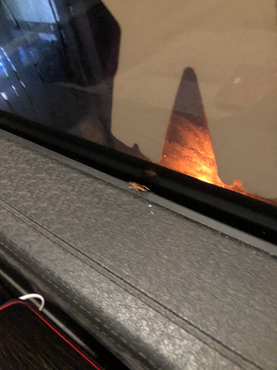 sh4zfa 🧃 tweet media