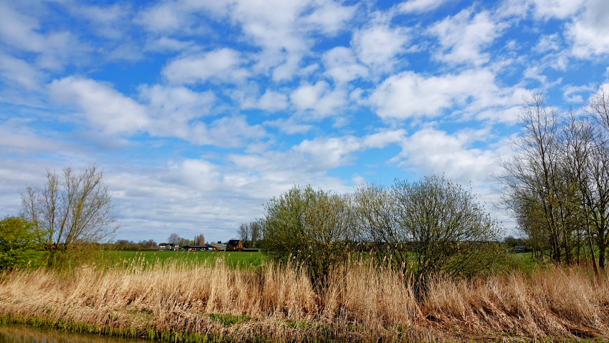 Ton Wesselius tweet media