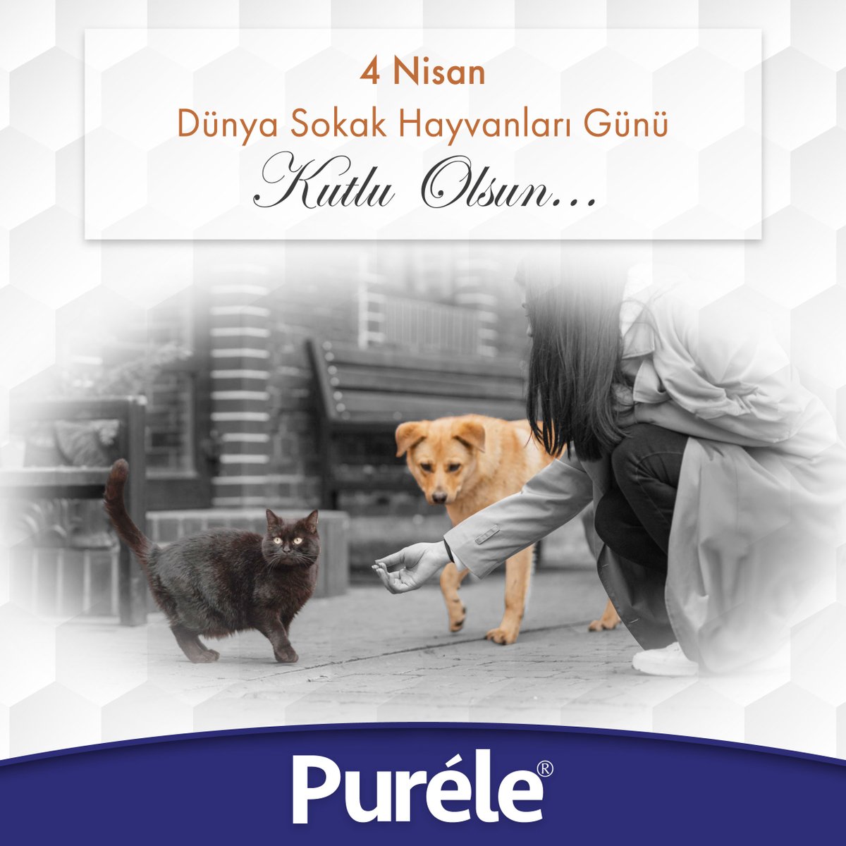 Purele_tr's tweet photo. Sokak hayvanlarını korumak, sahip çıkmak hepimizin görevi. Dünya Sokak Hayvanları Günü kutlu olsun!

Protecting and taking care of street animals is everyone's responsibility. Happy World Stray Animals Day!

#4NisanDünyaSokakHayvanlarıGünü
#AnimalsDay https://t.co/YE0KC4VvPH