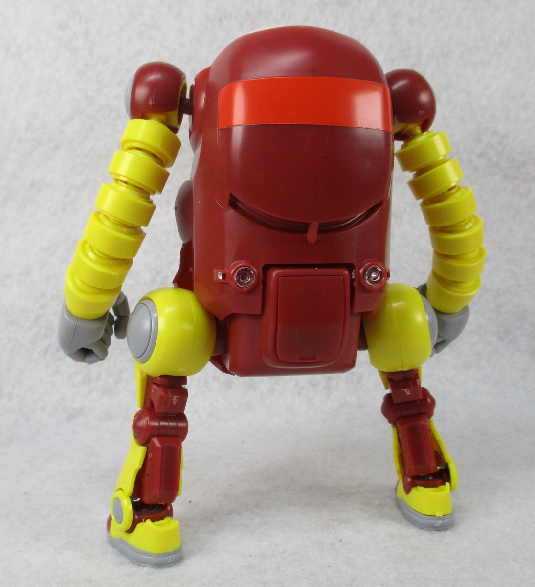 アンコクタン tweet media