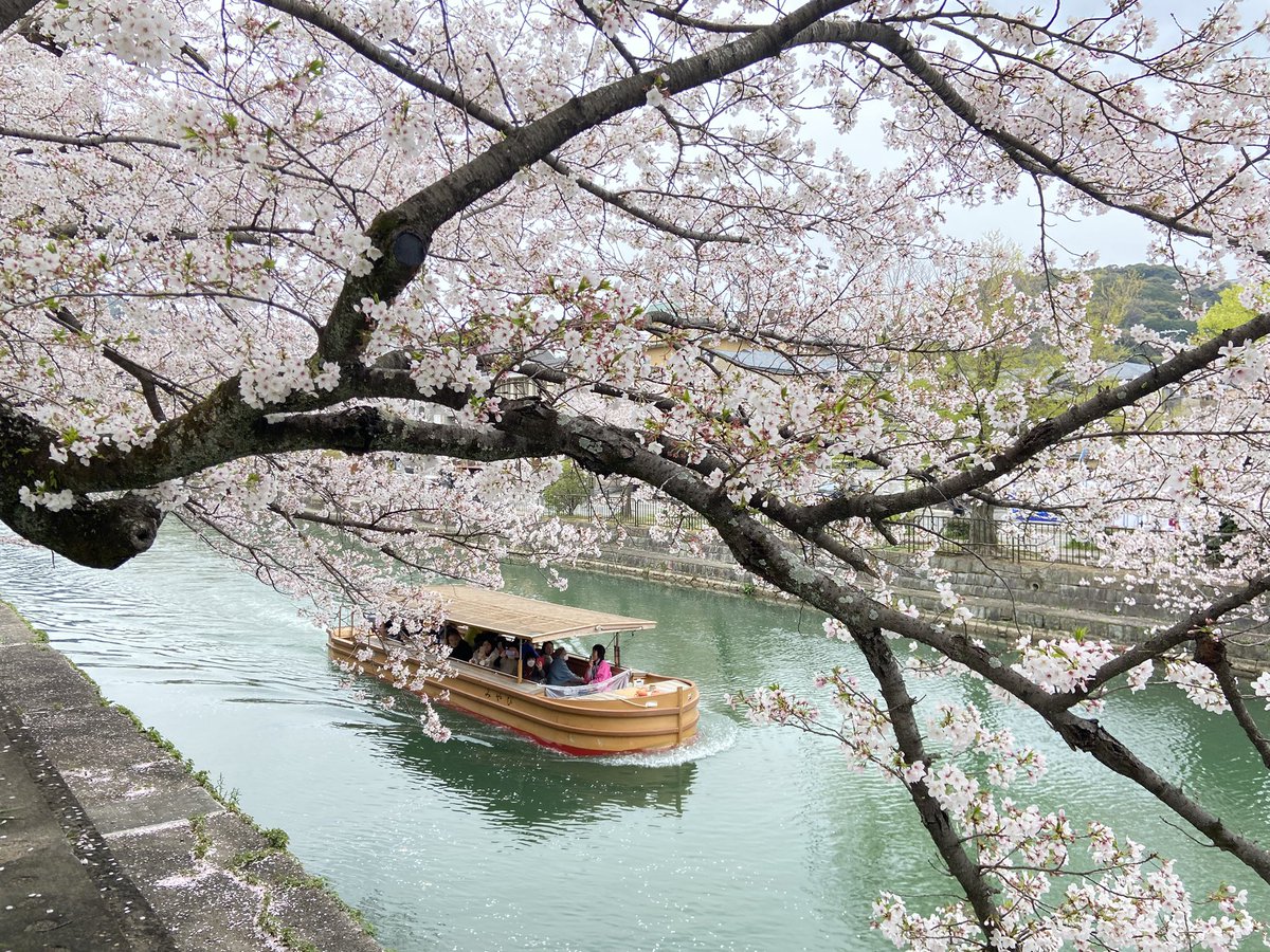 ゆめひろ♪ tweet media