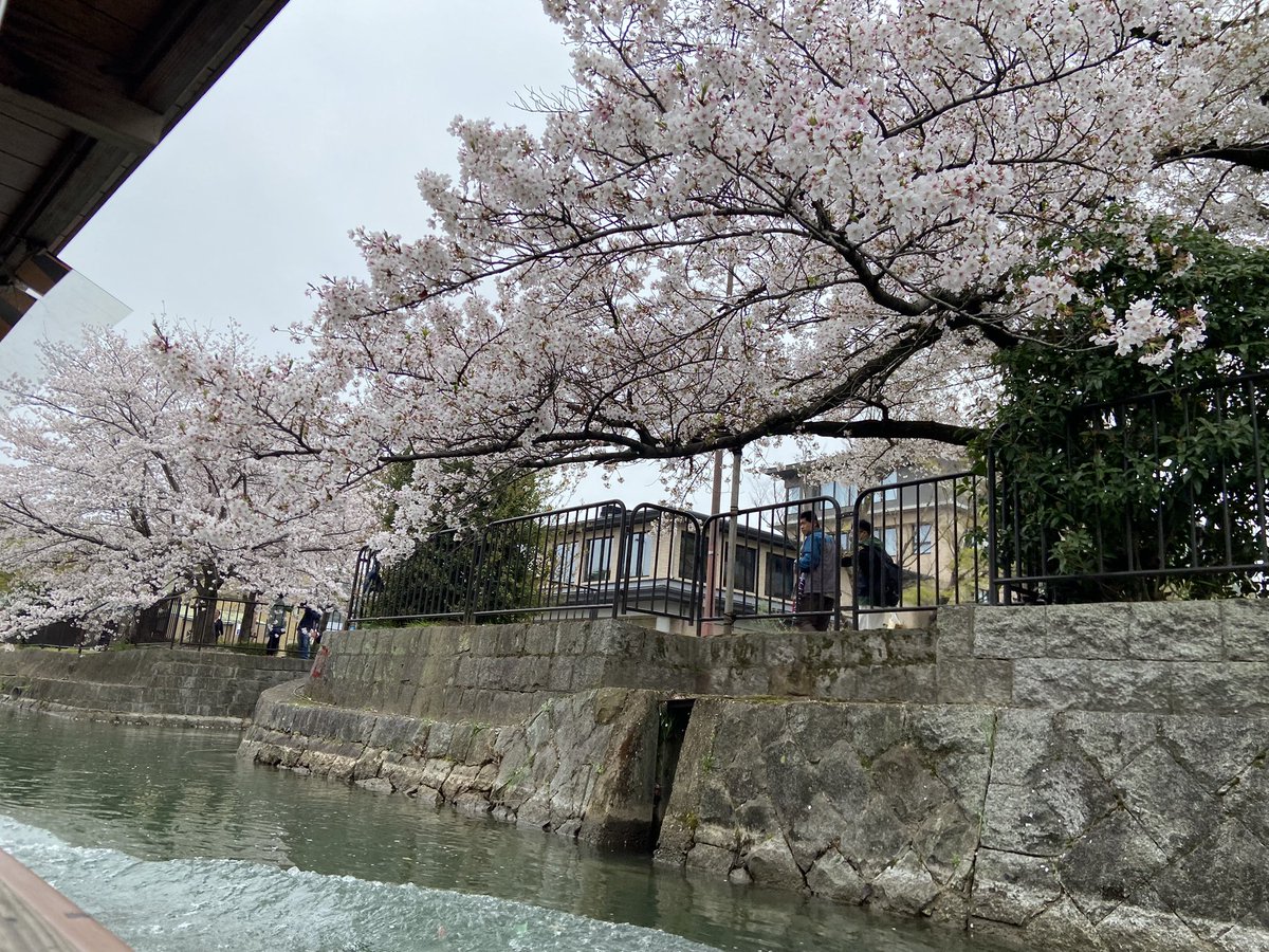 ゆめひろ♪ tweet media