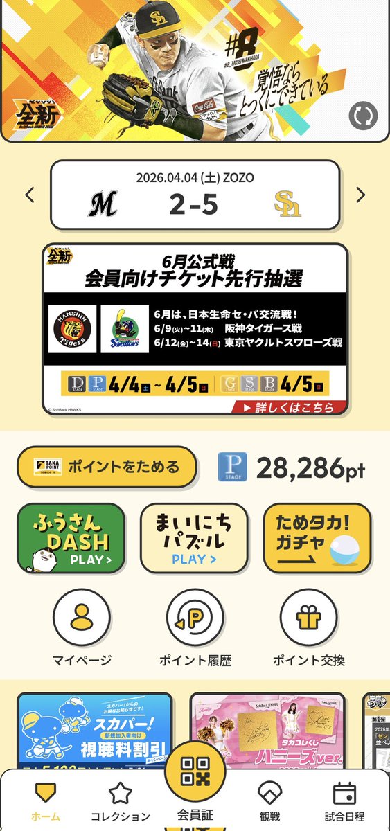 ねこ１号 tweet media