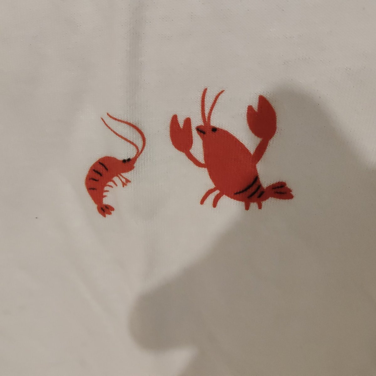 RunarBranche🥙 tweet media