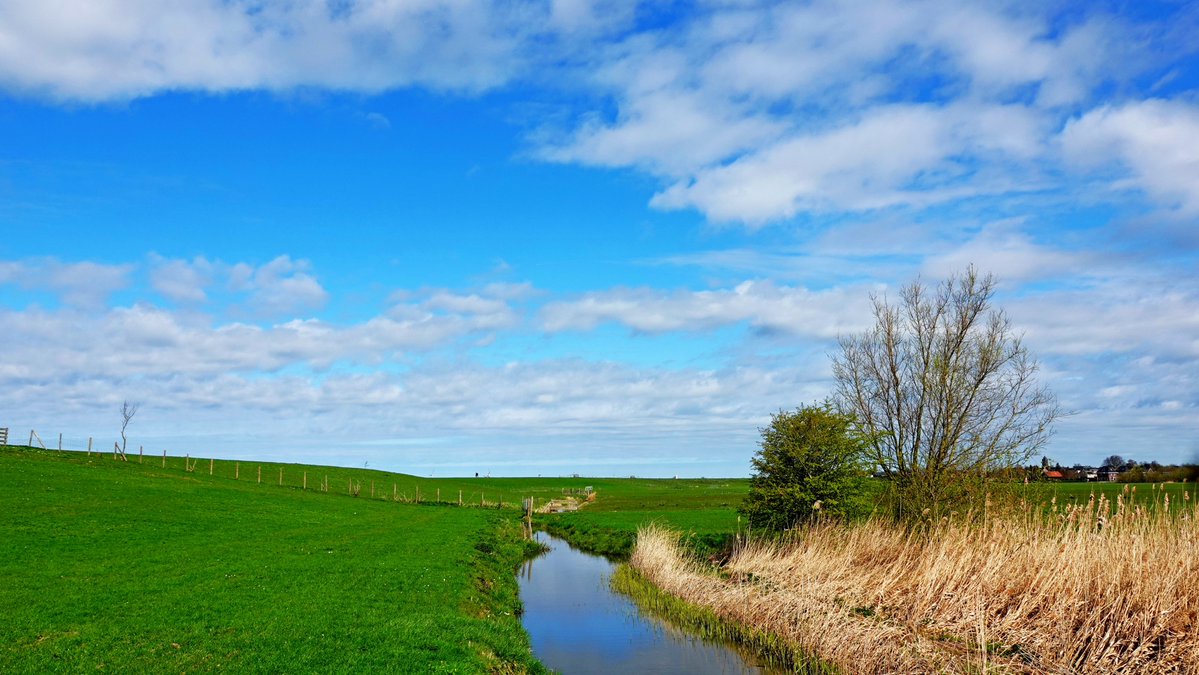 Ton Wesselius tweet media