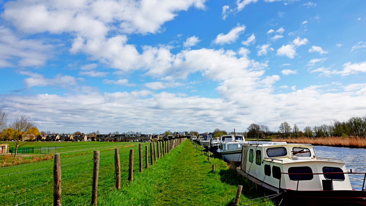 Ton Wesselius tweet media