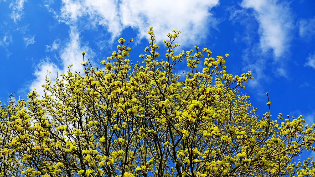 Ton Wesselius tweet media