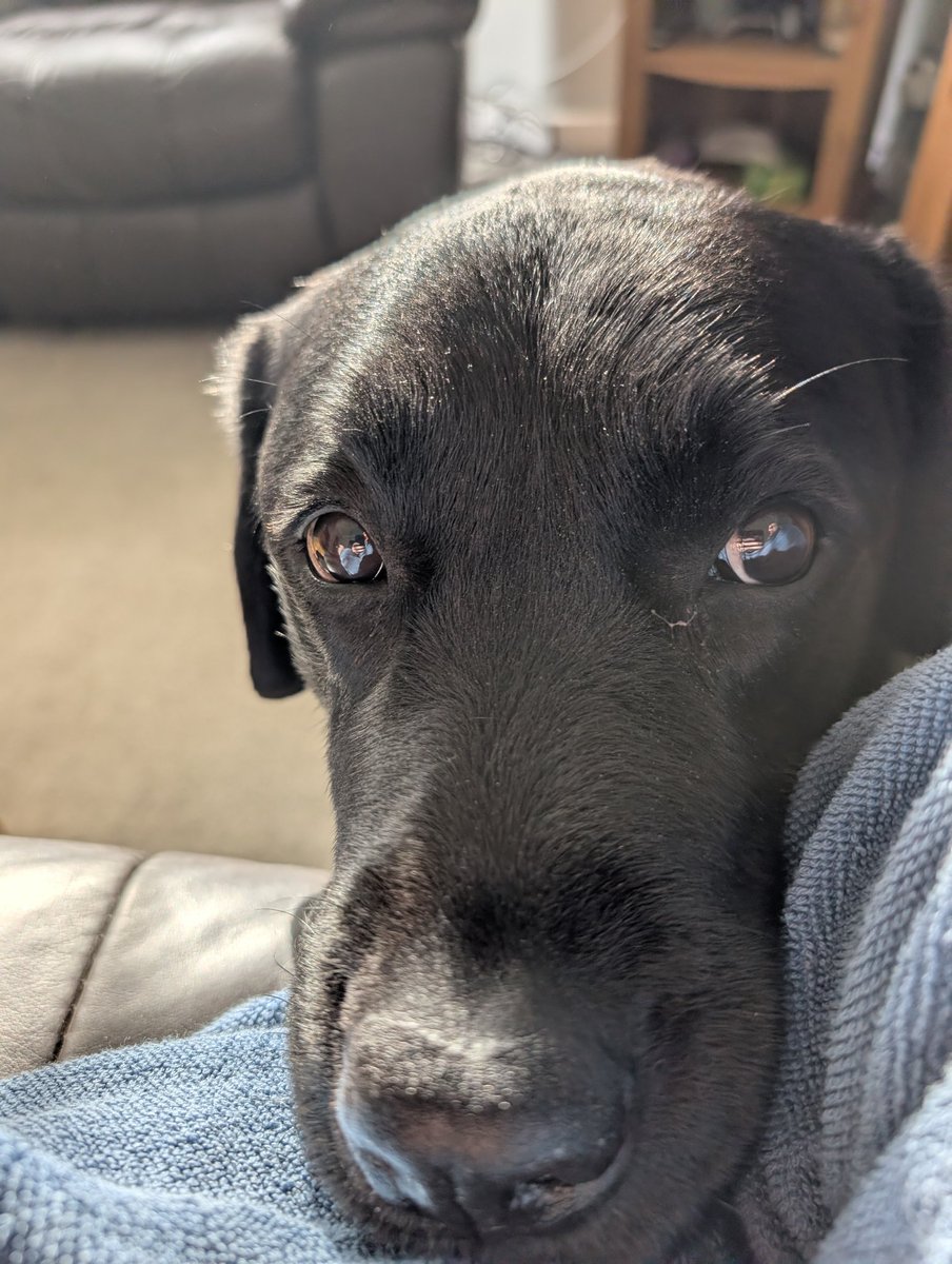 Peat 🏴 tweet media