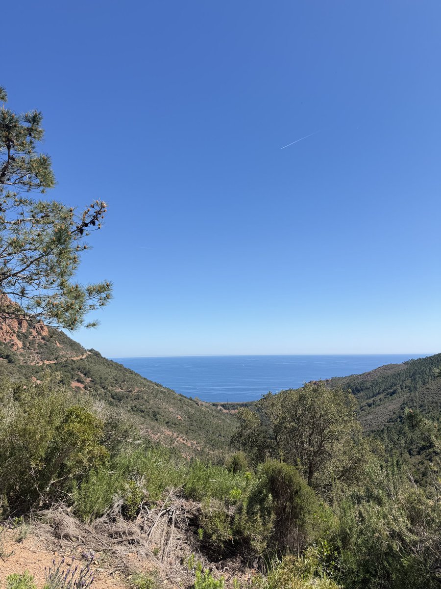 351🇵🇸 tweet media