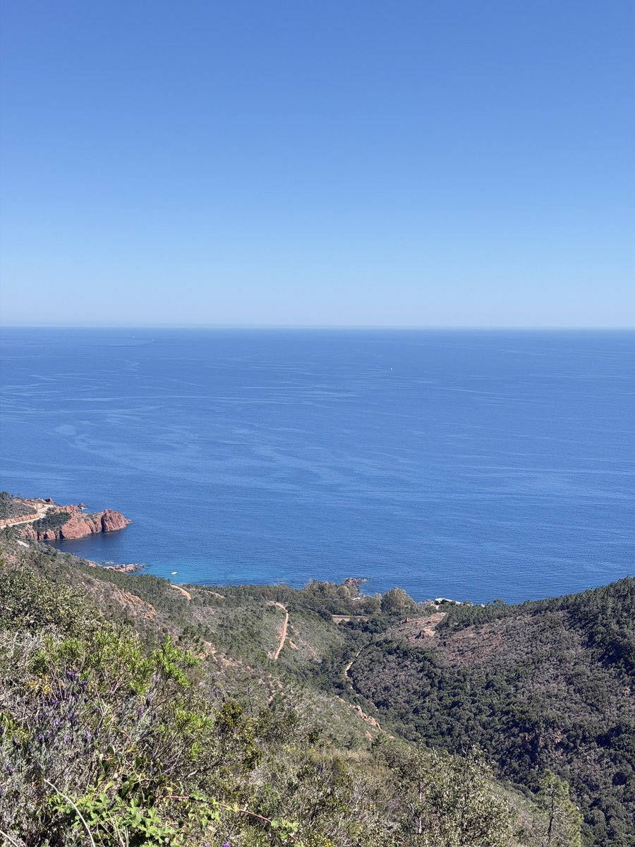 351🇵🇸 tweet media