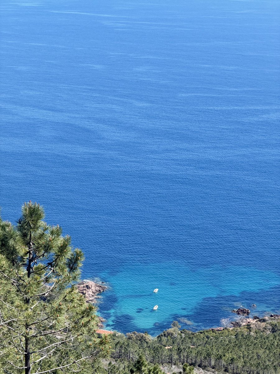 351🇵🇸 tweet media