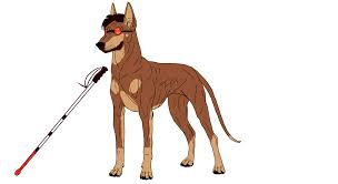 Ayden Zabelle tweet media