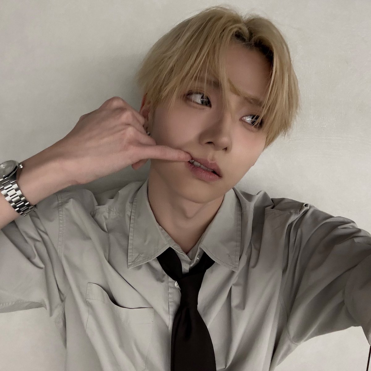 ✭ | the show tweet media