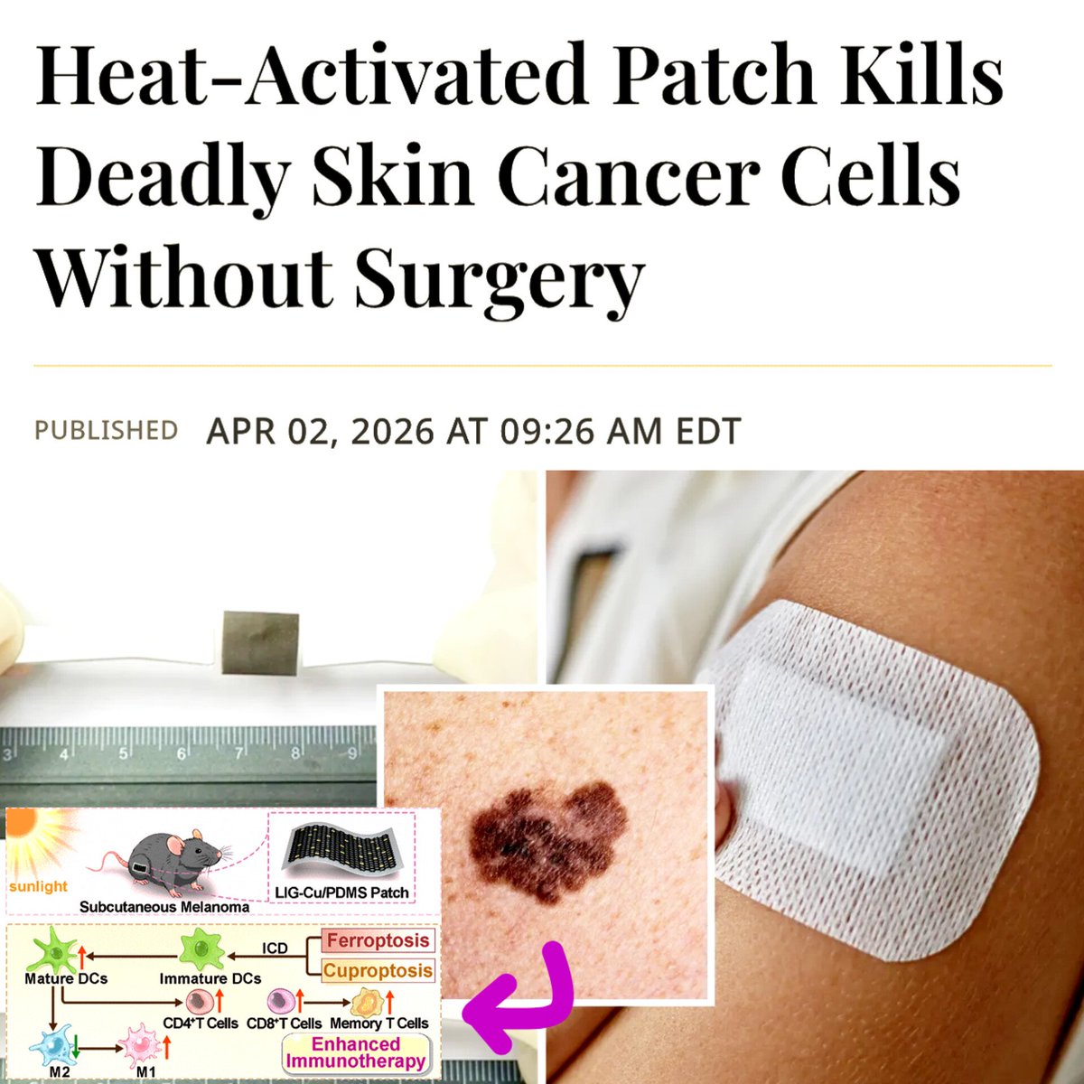 Dr Singularity tweet media