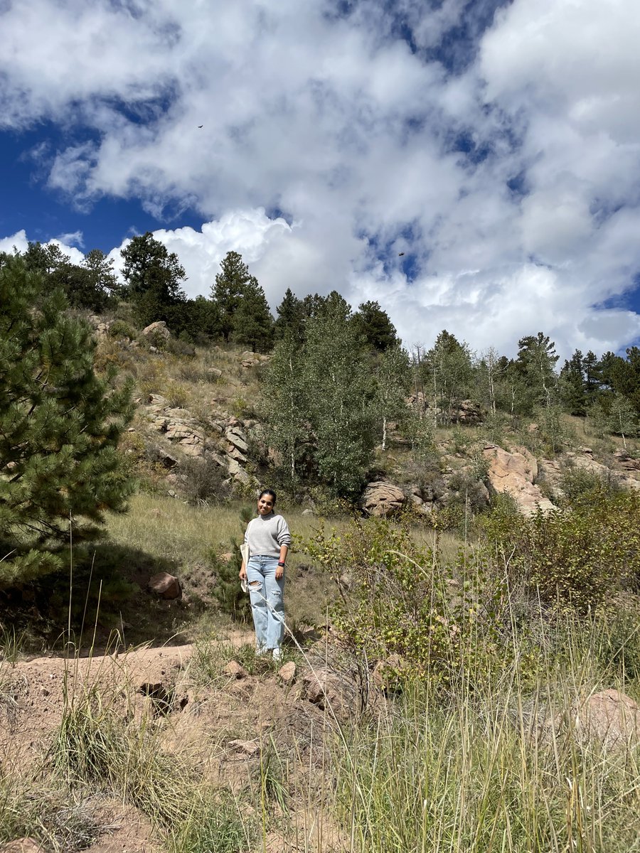 kellie unknown word or name tweet media