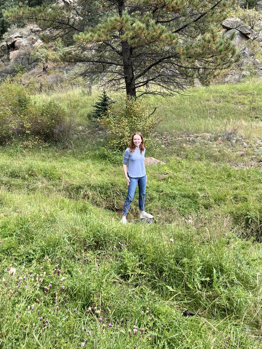 kellie unknown word or name tweet media