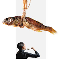 곰잡이 tweet media