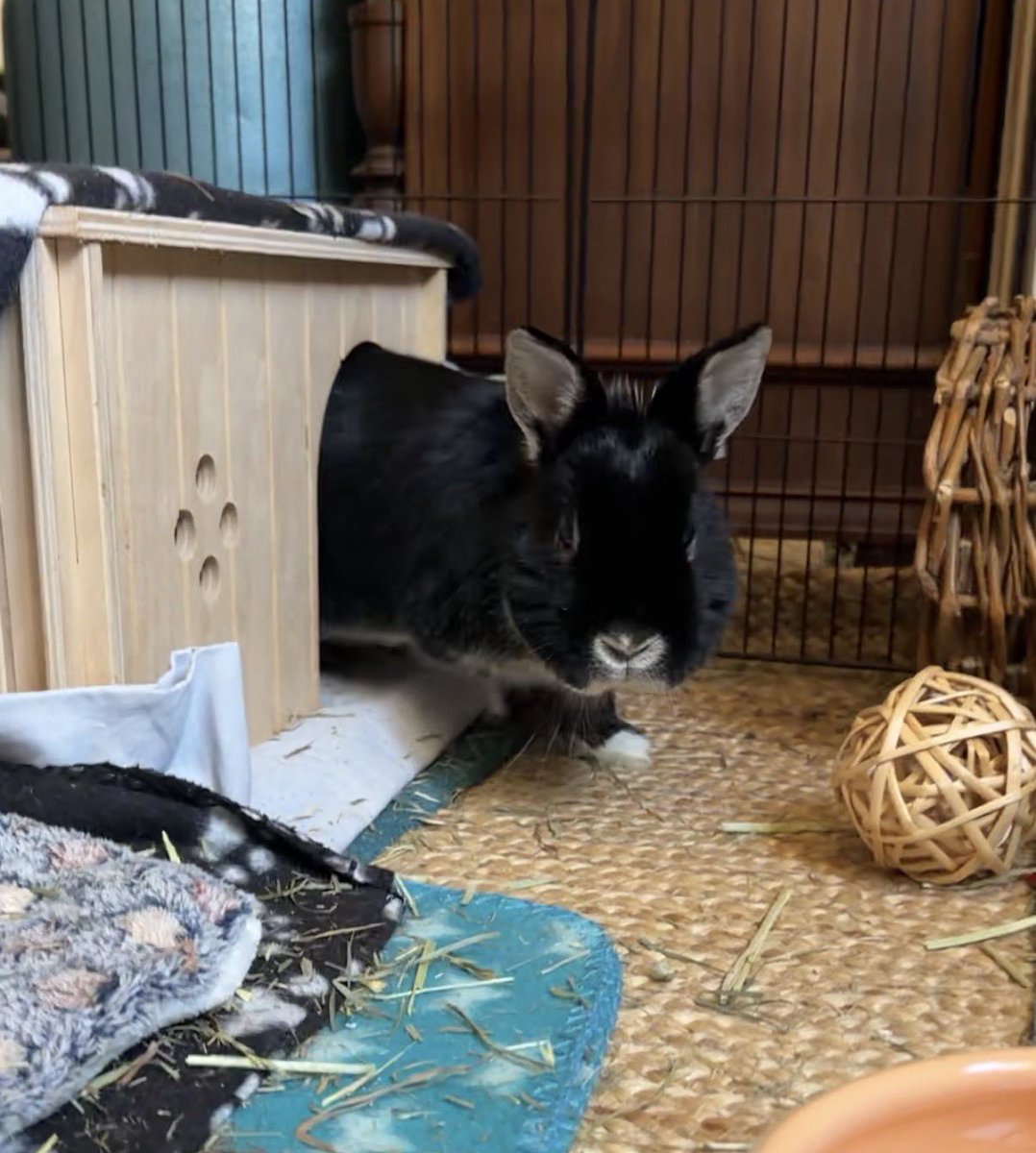 tiff ⊙⊝⊜ tweet media