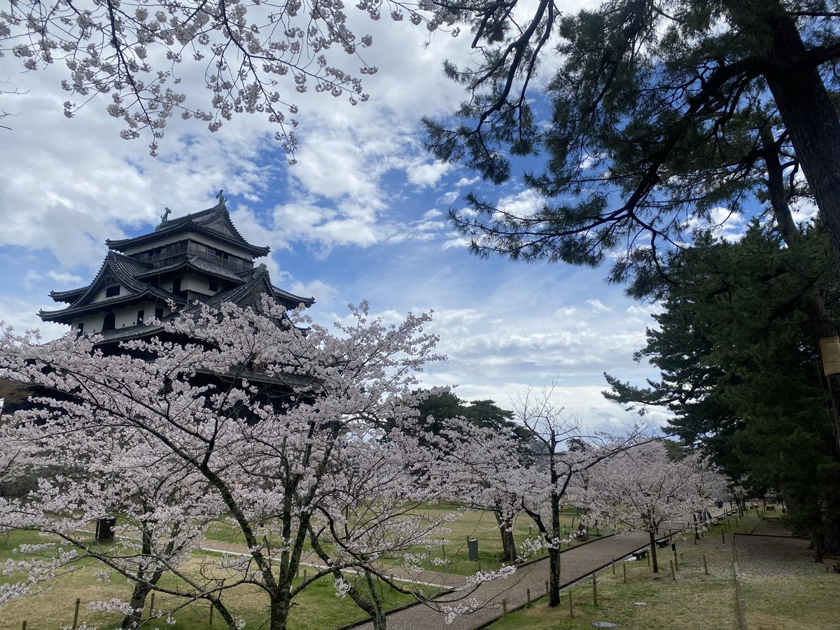 兼親 千代 tweet media
