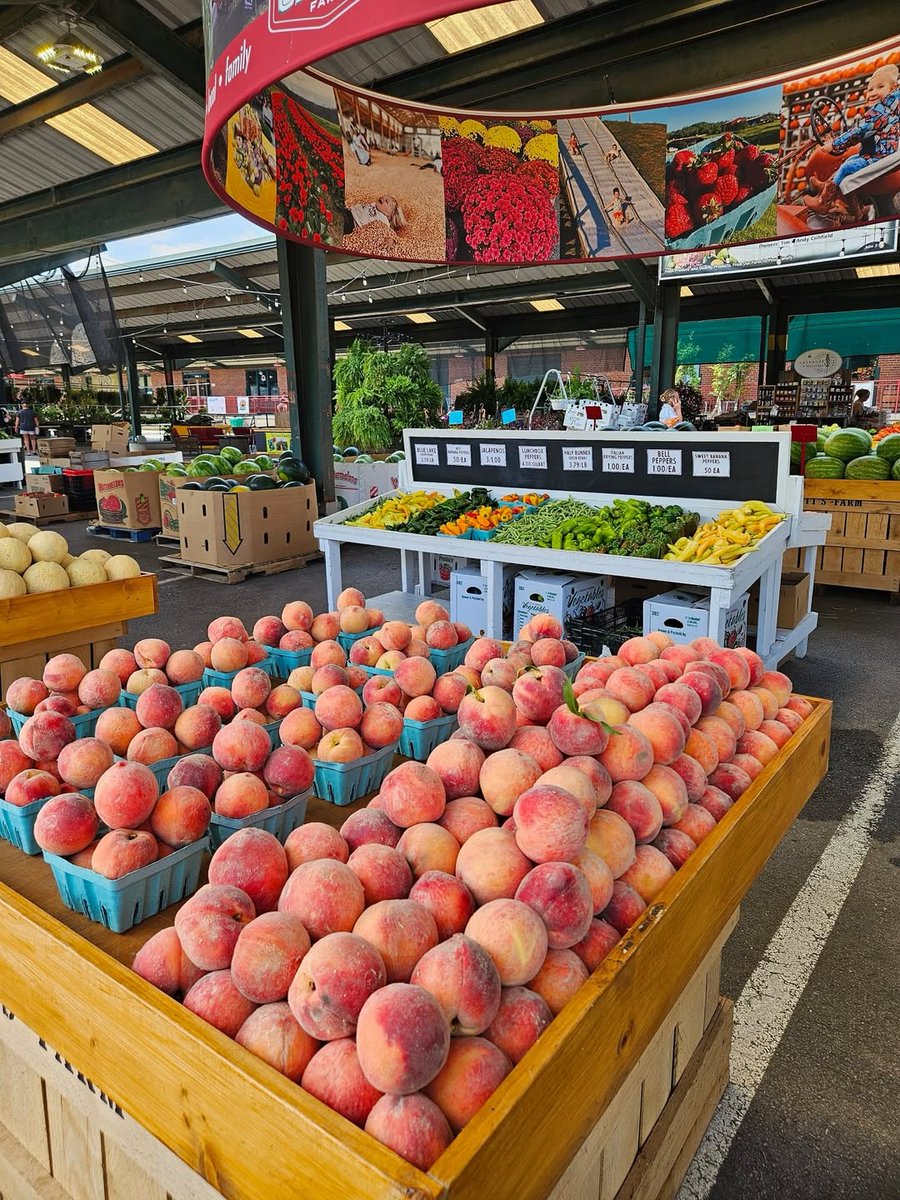 West Virginia Tourism tweet media