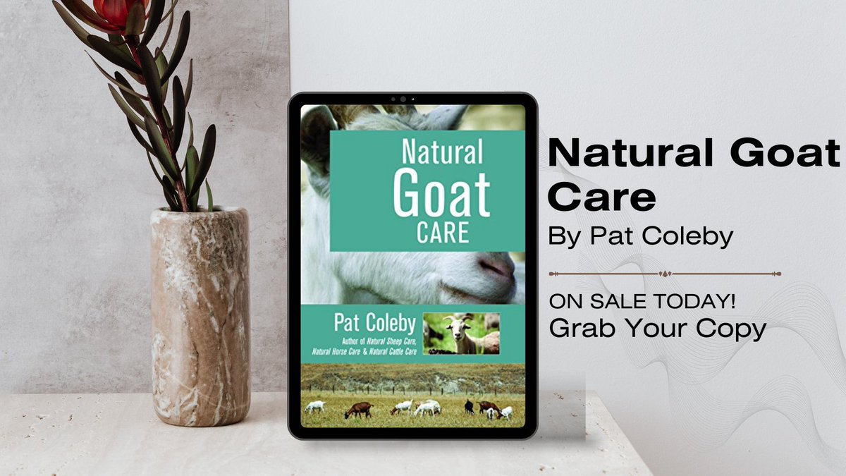 “Natural Goat Care” by Pat Coleby. Beyond just a guide, it’s an essential toolkit for holistic livestock management. cravebooks.com/b-42014?refere… #OrganicFarming #NonFiction