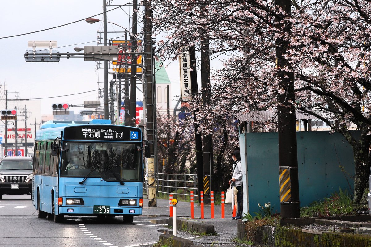 MeicloMickey's tweet photo. 4月4日(土) いわくにバス
205 13系統 岩国駅→室の木→千石原
元:都営バス Y-H222
こちらが本日のメイン🌸
千石原運用にはHRが充当しました。昨日は錦帯橋の花見渋滞で千石原行きは錦帯橋までの短縮運用だったため、撮れるかは運次第になります🤔 https://t.co/54fO7V5J8g