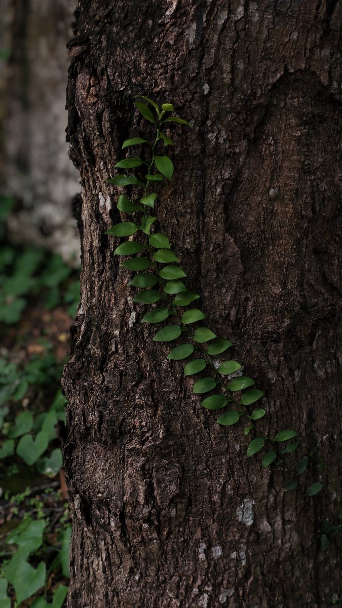 Piyu 👩‍⚕️🧑‍🍳 tweet media