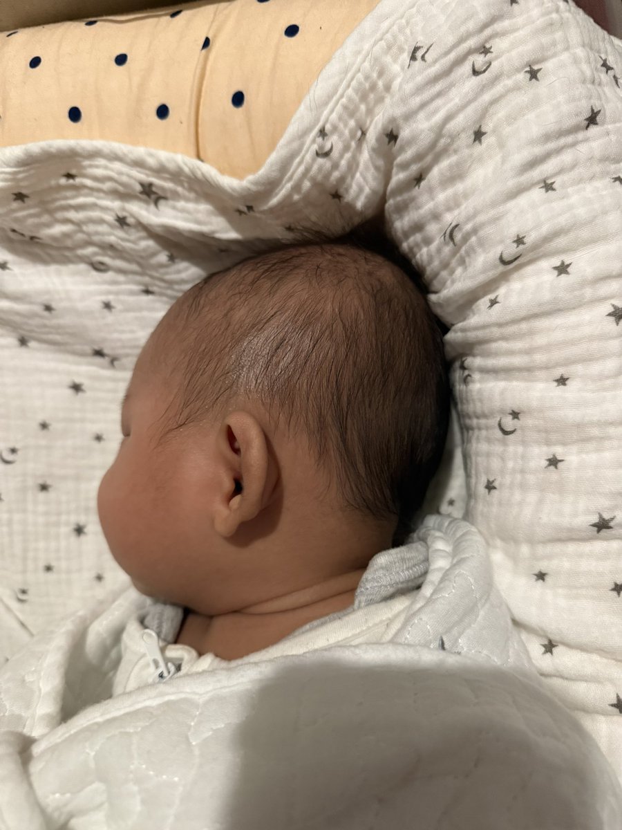 なご🐱¨̮⃝2m🦖 tweet media