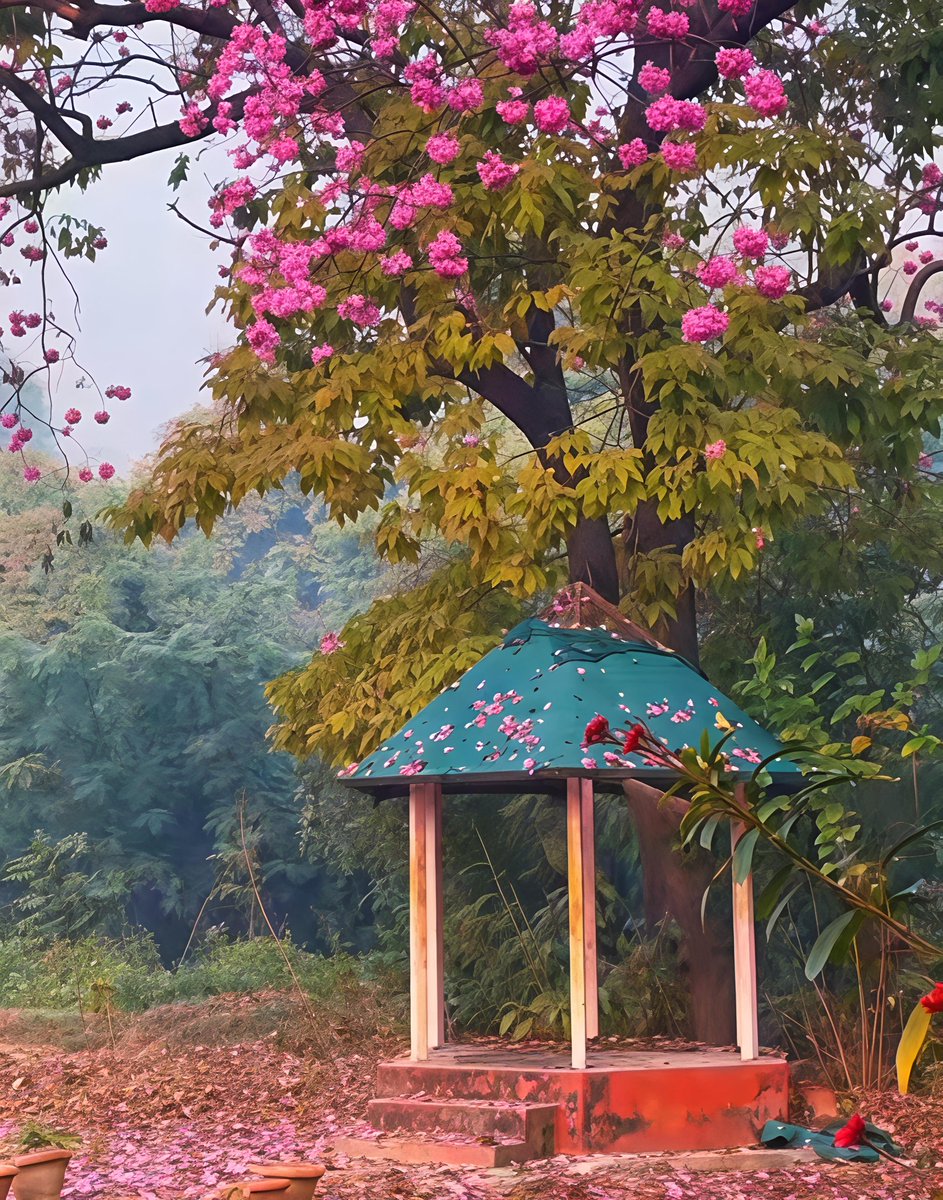 InfraZon tweet media