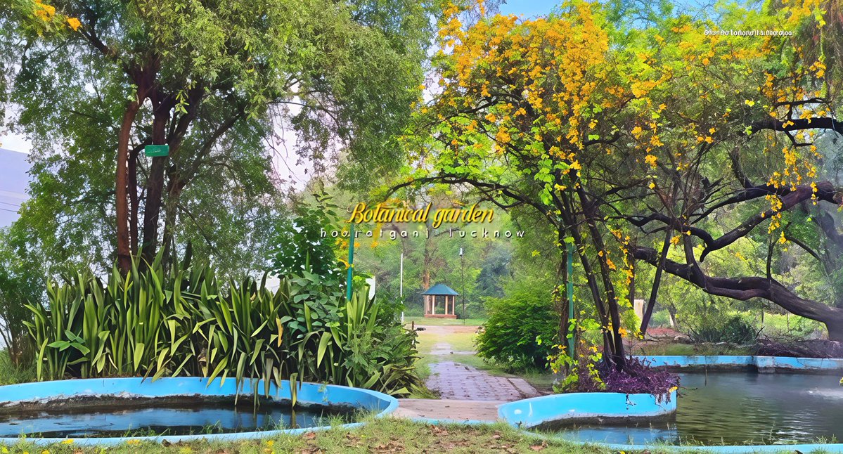 InfraZon tweet media