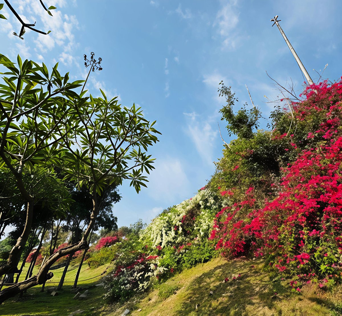 InfraZon tweet media