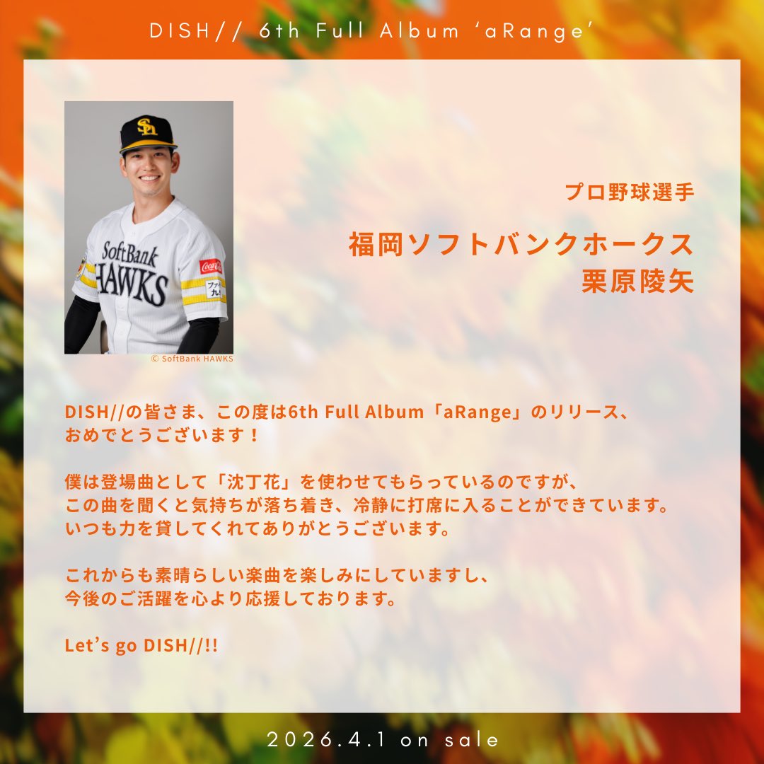 DISH// OFFICIAL tweet media