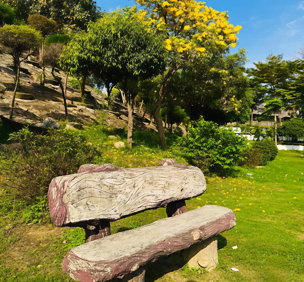 InfraZon tweet media