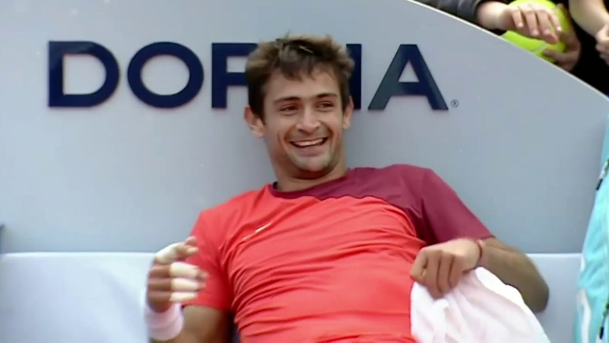 delfi 🐬 tweet media