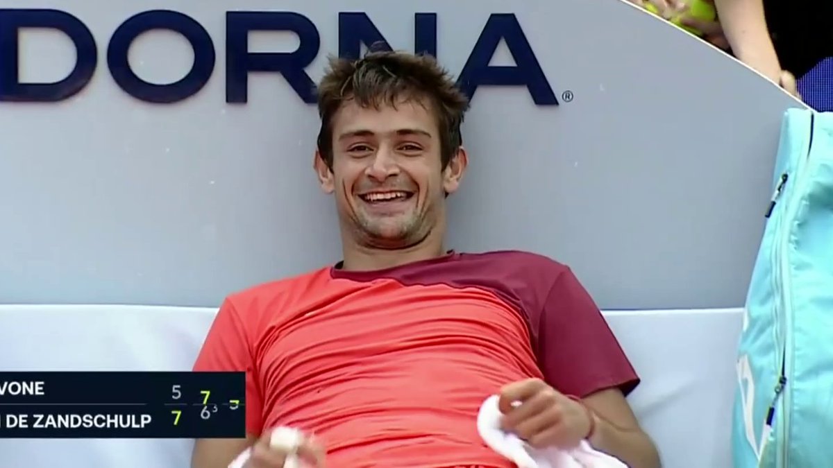 delfi 🐬 tweet media