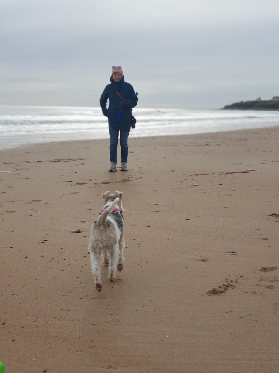 rmpk & Flora the Foxie 💚🇺🇦 tweet media