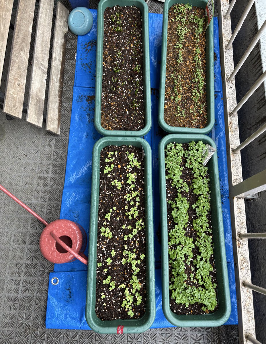 ふじこ tweet media