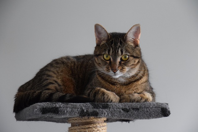 When Lights Go Off 🌙 tweet media