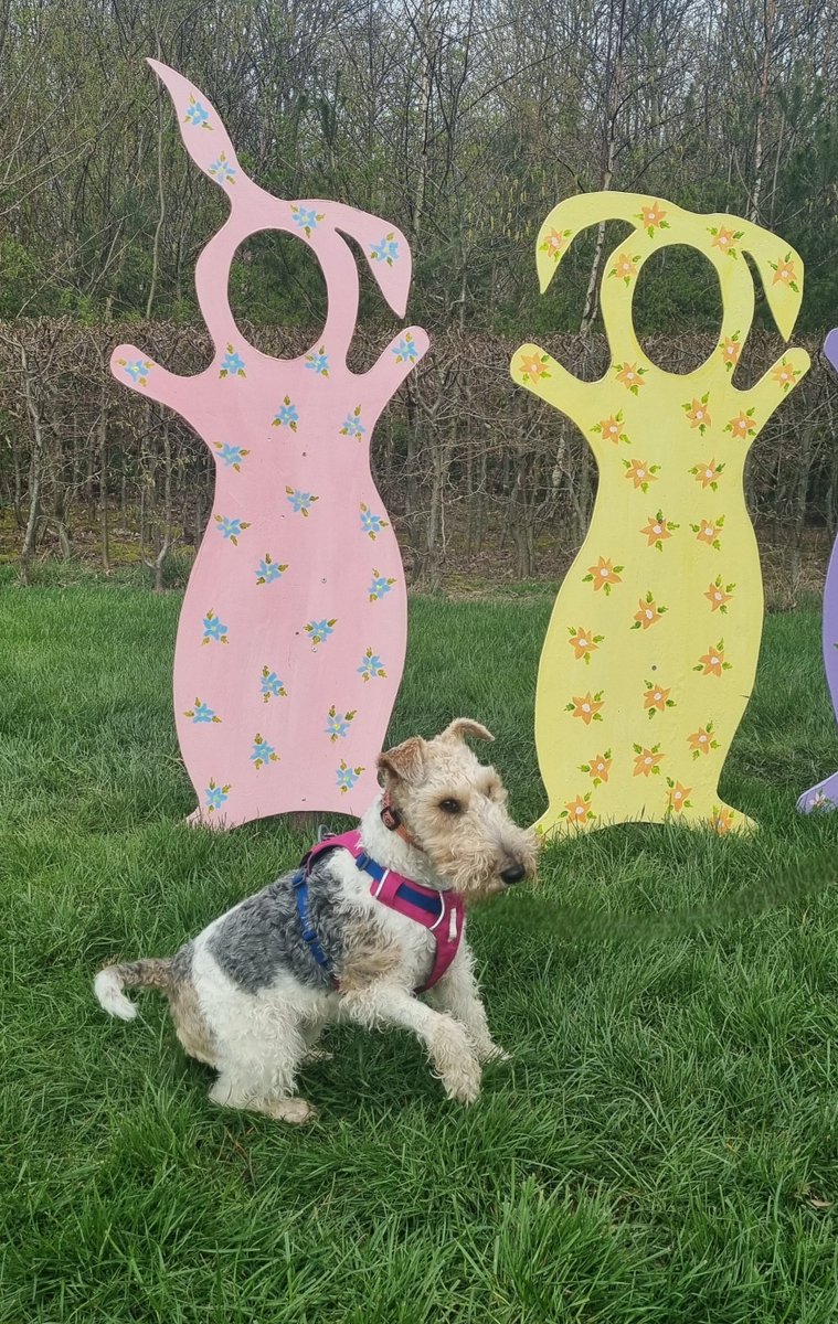 rmpk & Flora the Foxie 💚🇺🇦 tweet media